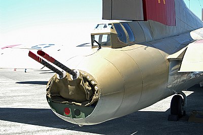 Tail Gunner WWII B-17G
