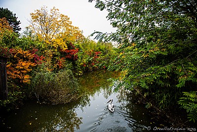 autunno