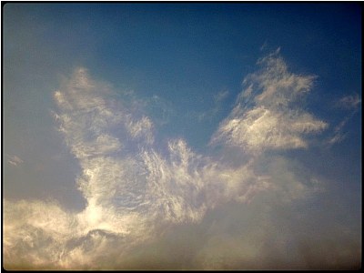 the cuckoo-cloud