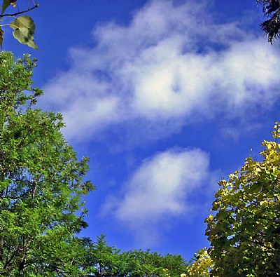 Light & Clouds