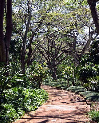 Botanical Garden Walk