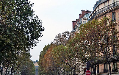 Autumnal Paris