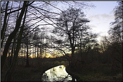 evening brook