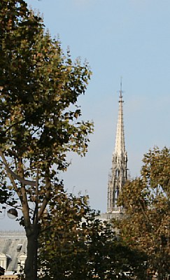 Trees & Church