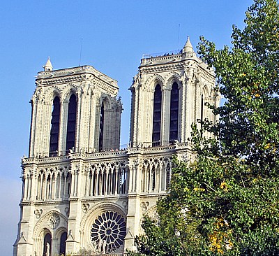 Notre Dame & Tree