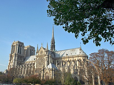 Trees Guard Notre Dame