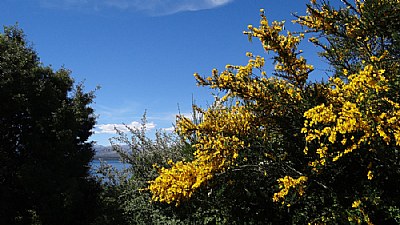 Broom & Sky