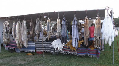 Fur Sale