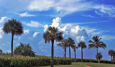 Blue Sky & Clouds