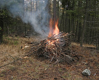 Fire Burn Pile