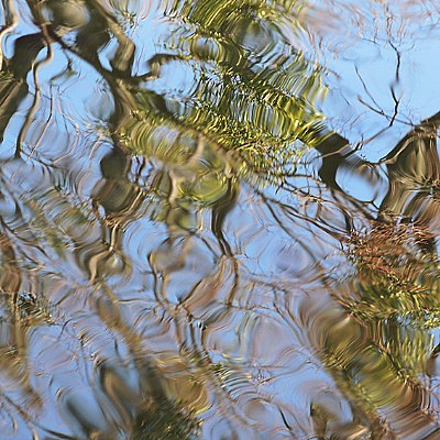 spring reflections