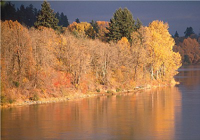 Fall on Willamette River