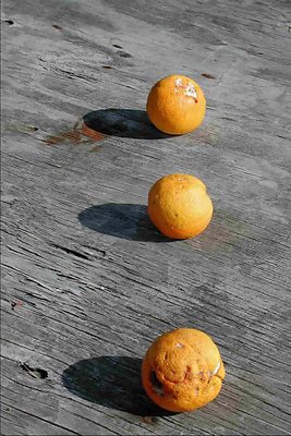 oranges