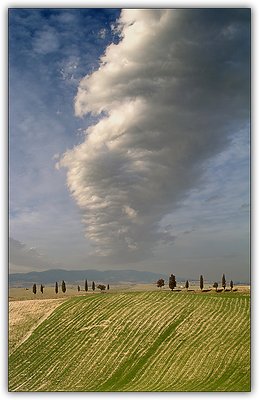 Roll Cloud (under clear air) over a line of cypresses