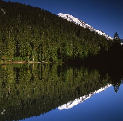 Beside Mowich Lake