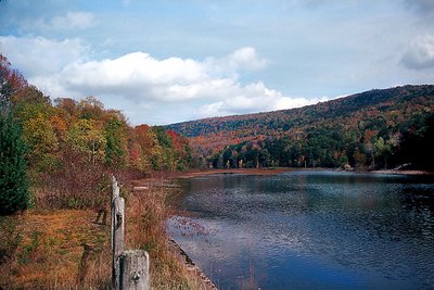 Fall Color-New York State