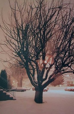 Winter Night -2.