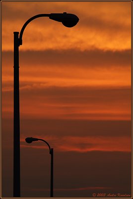 Sunset light pole