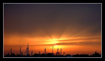 Sunset over the masts