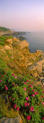 Maine Coastline at the Headlight