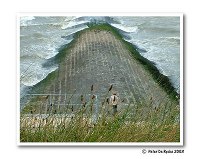 Sea and dunes