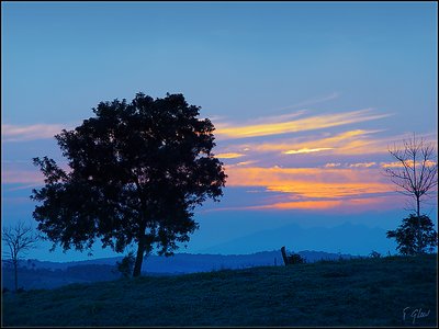 Blue Morning