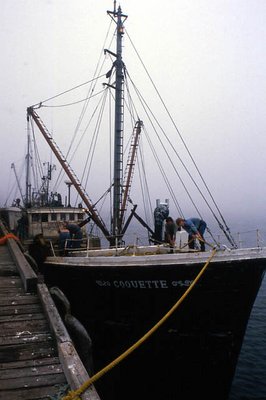 Bringing in the Catch at Dawn