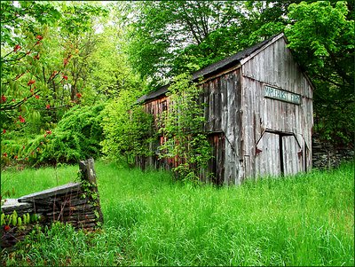 Maplehurst Farm