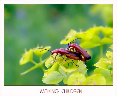 Making Children