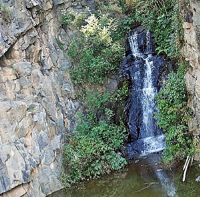 Waterfall  and Flowers