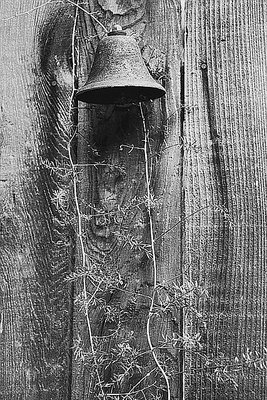 Bell