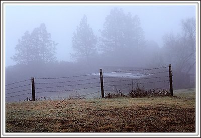 Barn in Fog