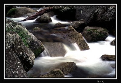 Mossman Gorge