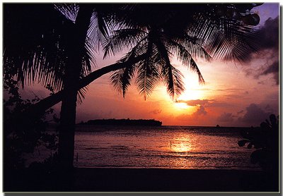 Sunrise over Banyan Tree