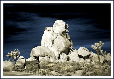 Giant Rock and Shack  Joshua Tree National Monument