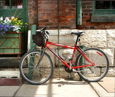 Parked Bicycle