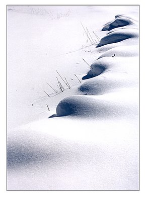 Snow Forms