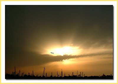 Sunset over the masts II