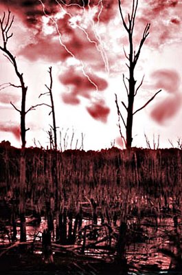 Red Swamp