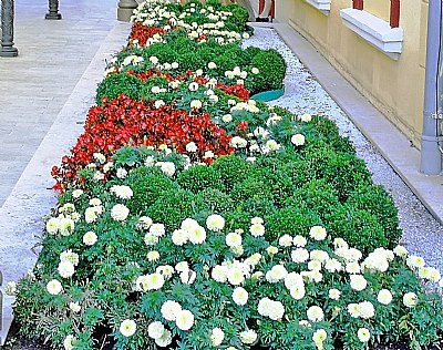 Floral Track