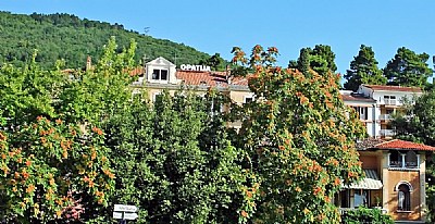 Floral Trees