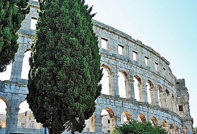 Trees & Roman Remains