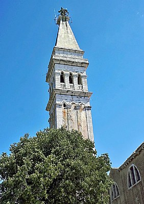 Trees & Tower