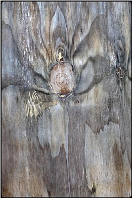 wood angel