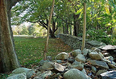 Stone Wall