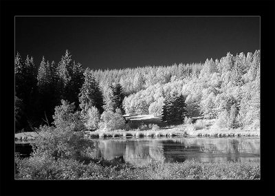 Blackberry Lake in Shades of Gray