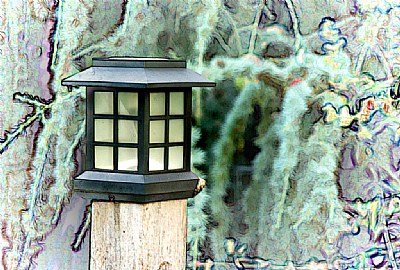 Backyard Lamp