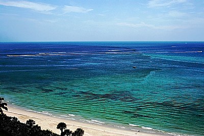 Beach & Ocean