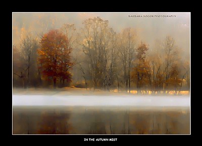 In the Autumn Mist