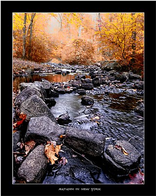 Autumn in New York